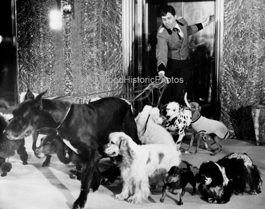 Jerry Lewis 1960 Starring in The Bellboy written and directed by him wm.jpg